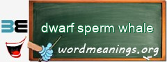 WordMeaning blackboard for dwarf sperm whale